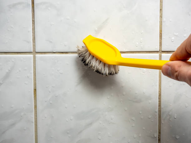 Best Mold Removal Near Me  in Livermore, CA
