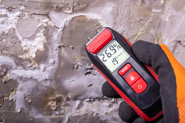 Best Mold Removal Company Near Me  in Livermore, CA